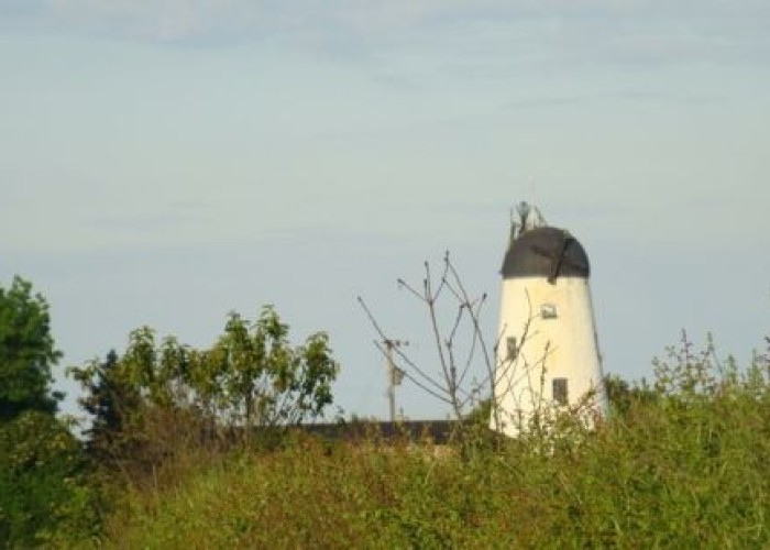 7. Windmill