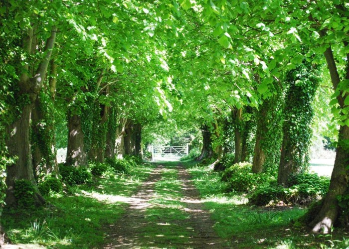 99. Road