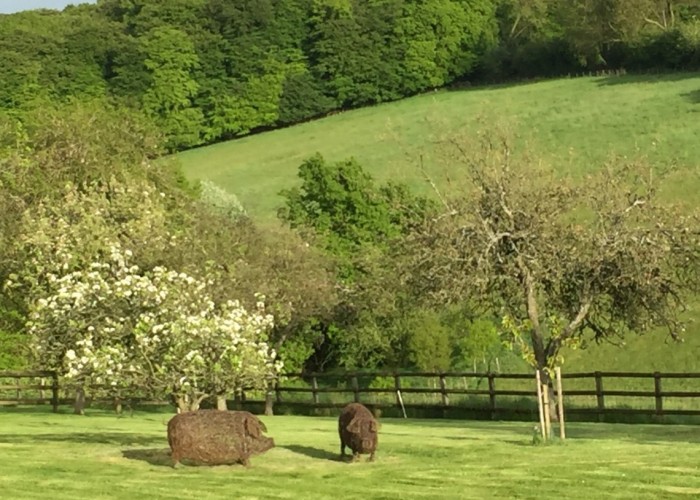 18. Countryside View