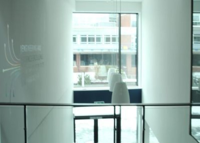 14. Windows