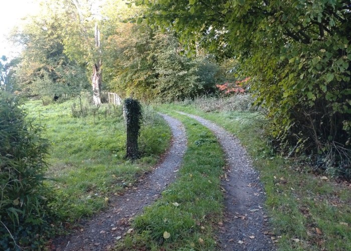 Woodland, Fields, Garden (Rear, Large) at Film Location Hamlet with Arable Farm, Dorset