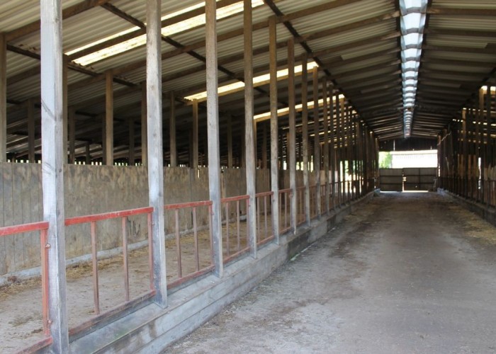 82. Warehouse, Warehouse (Scruffy), Warehouse (Large), Warehouse (Light)