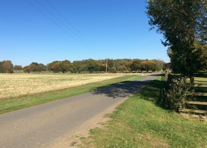 7. Field (Farmland), Road
