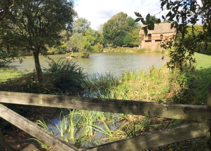 3. Lake / Pond