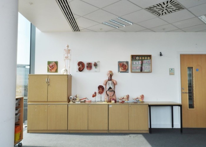 2. Props / Feature, Hospital Ward