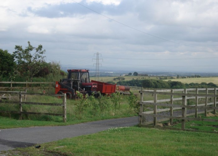 4. Countryside View, Field (Farmland)