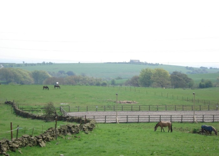 3. Countryside View, Field (Farmland)