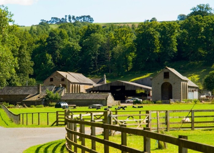 1. Barn, Countryside View, Farm, Field (Farmland)