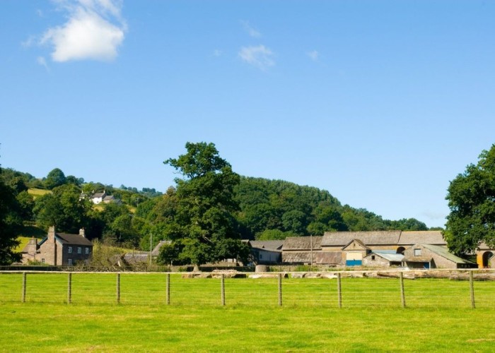 3. Barn, Countryside View, Farm, Field (Farmland)