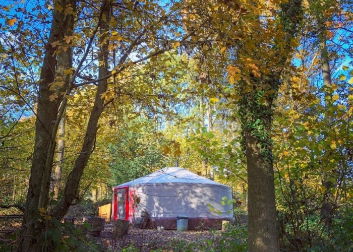 23. Woodland, Tent