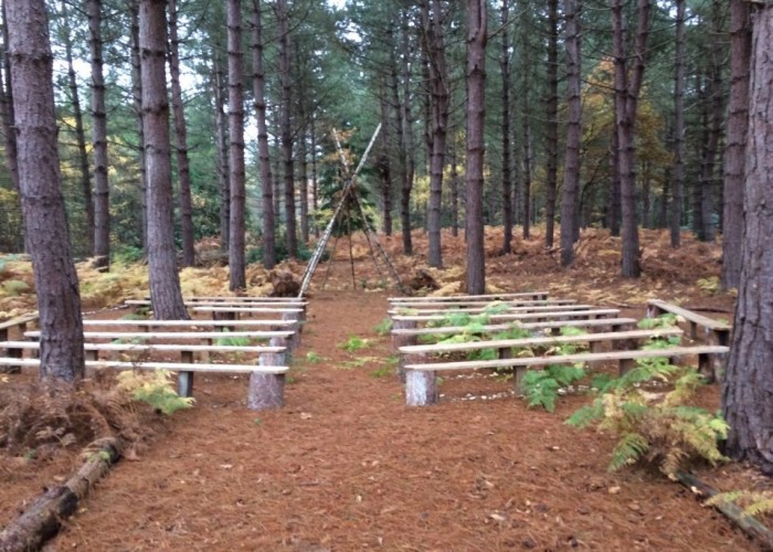 1. Woodland