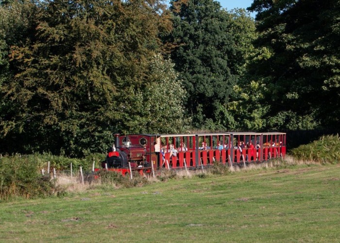 20. Train