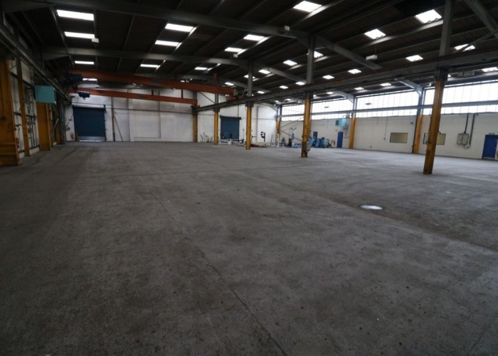 1. Warehouse (Drive-In), Warehouse (Large), Warehouse (Sky Lights), Warehouse (Pillared), Coronavirus-Friendly