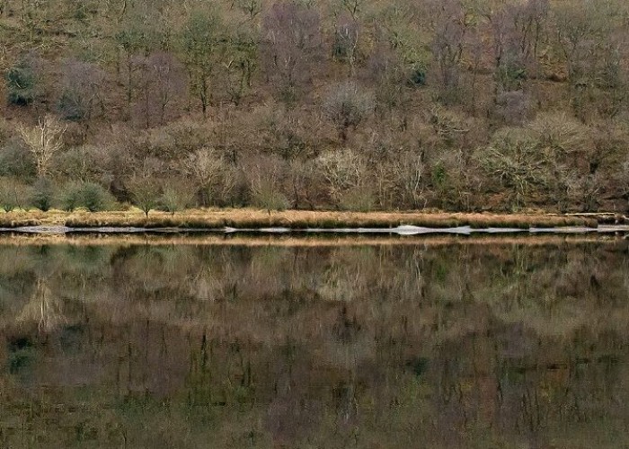 11. 