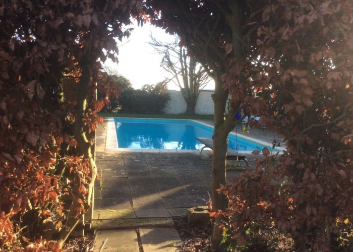 7. Swimming-pool, Diving Board
