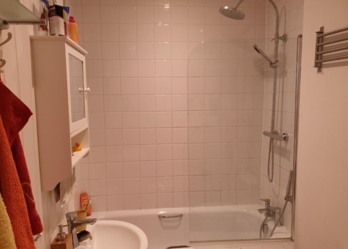 17. Bathroom (Shower and bath)