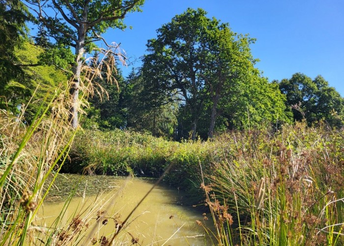 9. Lake / Pond