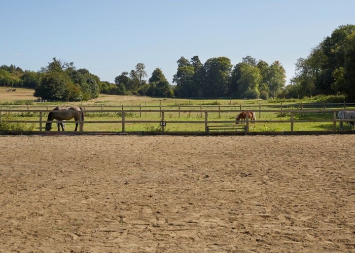 23. Farm, Field (Farmland)