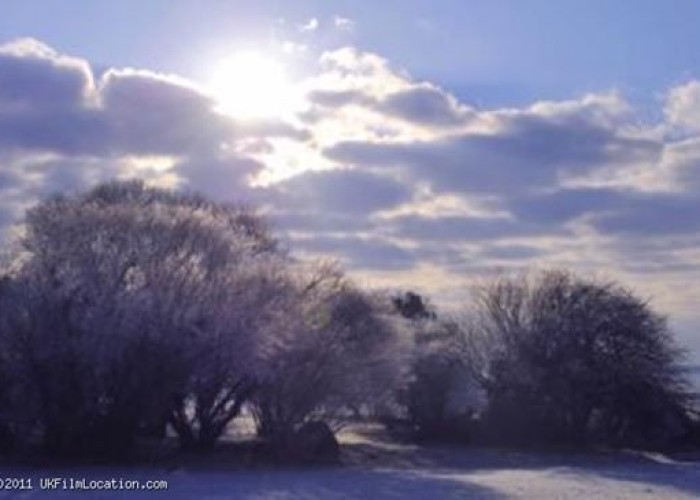 3. Countryside View