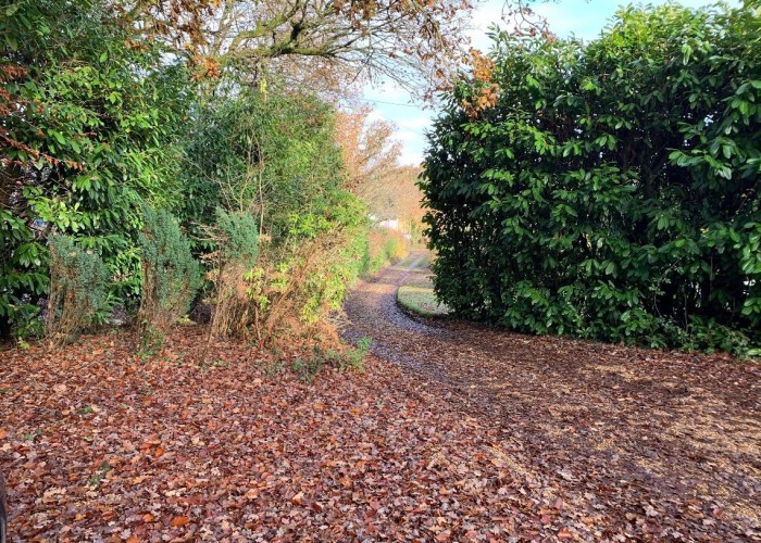 33. Driveway