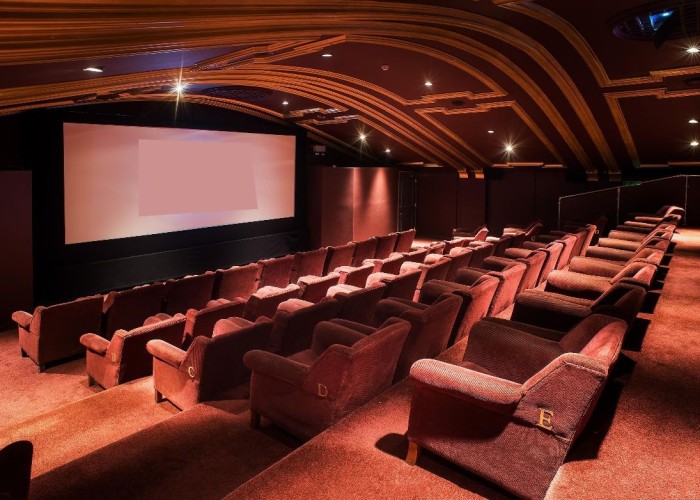 4. Cinema, Coronavirus-Friendly