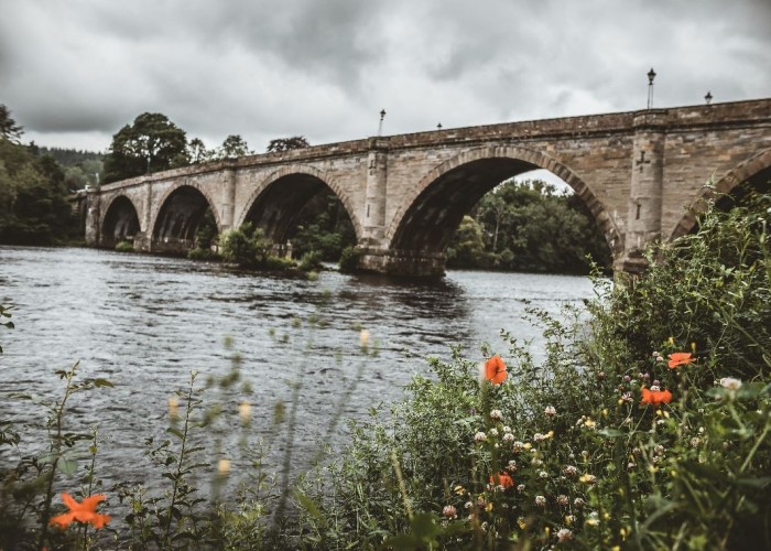 14. Bridge