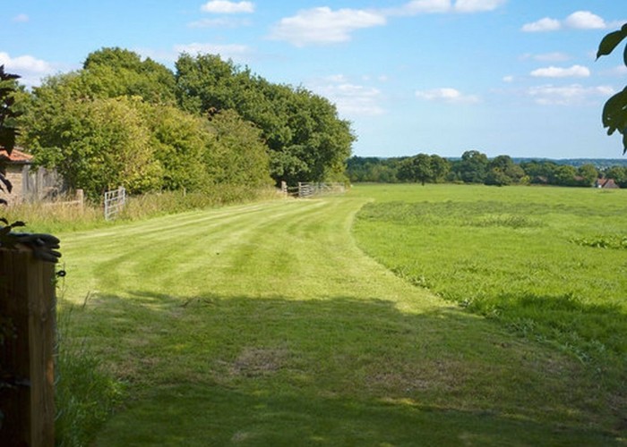 22. Fields