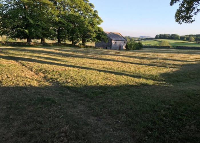 10. Fields