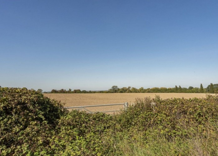 14. Countryside View