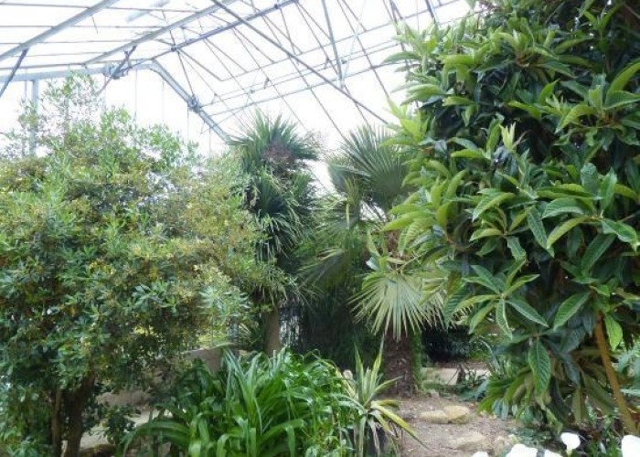 1. Greenhouse