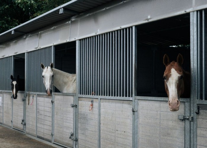 9. Stables