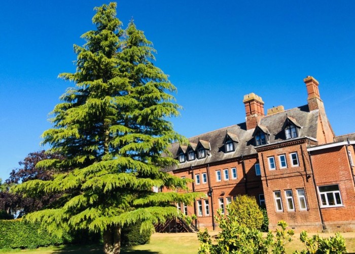 1. Coronavirus-Friendly