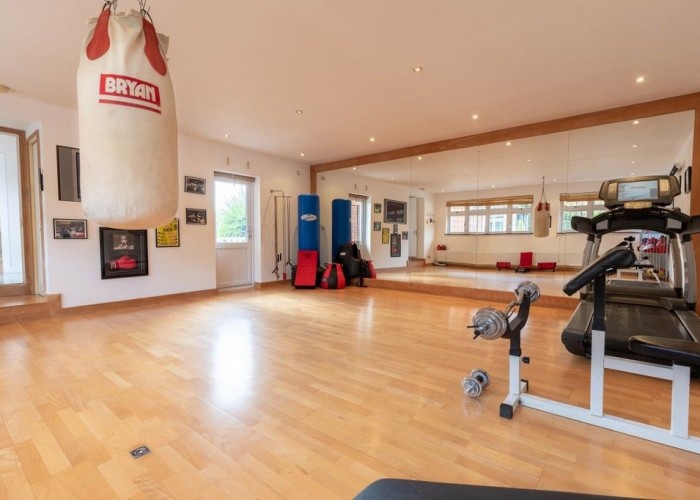 53. Gym (Commercial), Gym (Home)