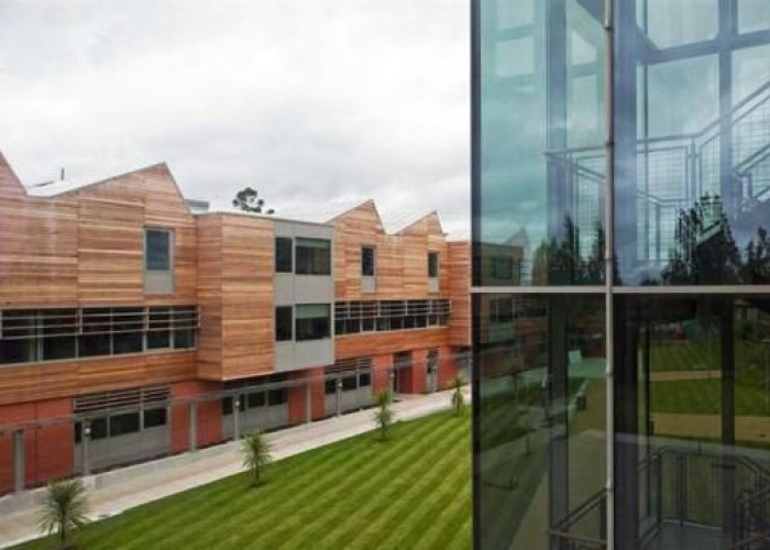 10. School / College