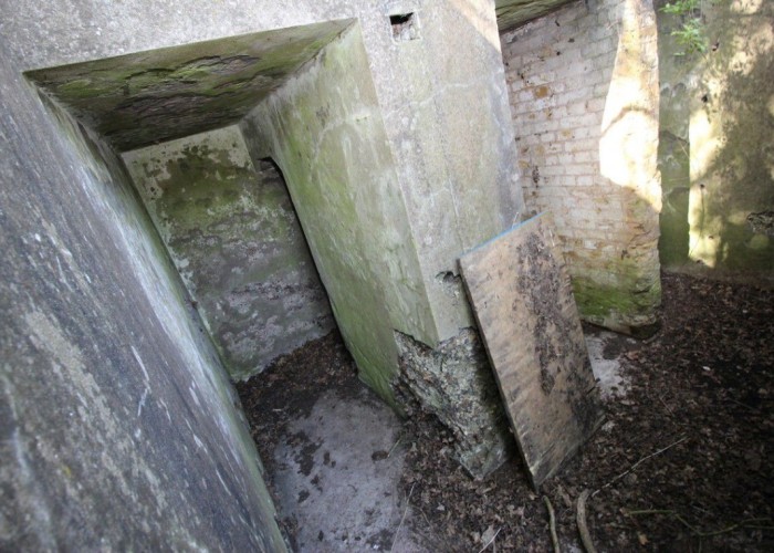 London: Wasteland, Woodland, Stone Walls - Backdrops For Video & Stills Shoots, Kent