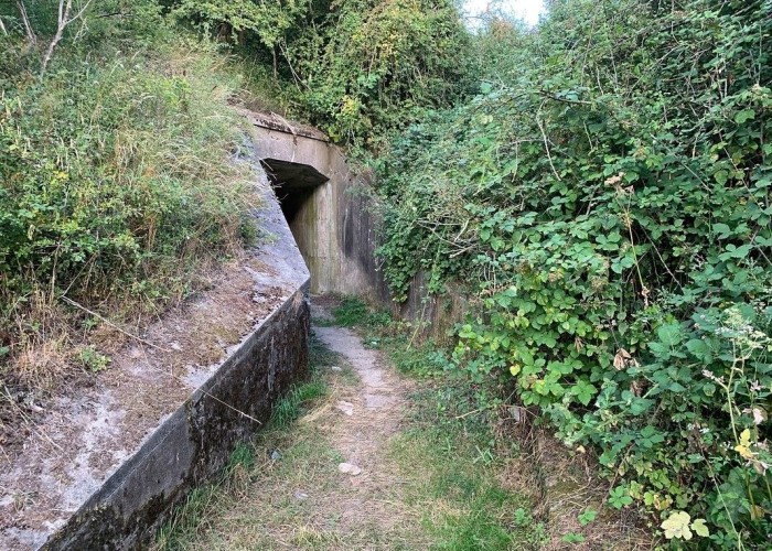London: Wasteland, Woodland, Stone Walls - Backdrops For Video & Stills Shoots, Kent