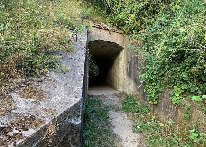 London: Wasteland, Woodland, Stone Walls - Backdrops For Video & Stills Shoots, Kent
