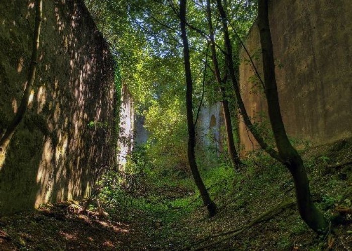 Woodland at London: Wasteland, Woodland, Stone Walls - Backdrops For Video & Stills Shoots, Kent