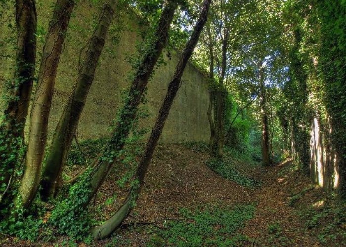 Alley at London: Wasteland, Woodland, Stone Walls - Backdrops For Video & Stills Shoots, Kent