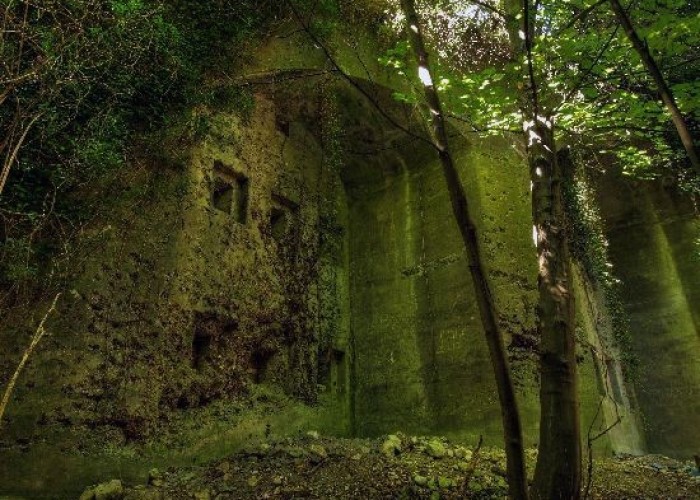 Woodland at London: Wasteland, Woodland, Stone Walls - Backdrops For Video & Stills Shoots, Kent