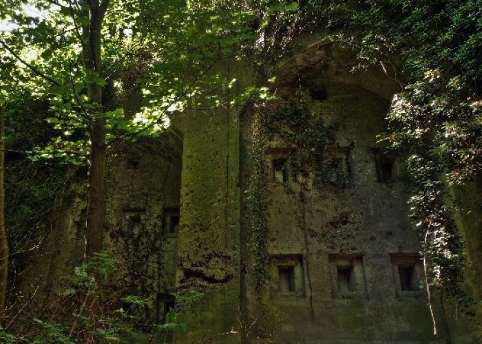 Bunker at London: Wasteland, Woodland, Stone Walls - Backdrops For Video & Stills Shoots, Kent
