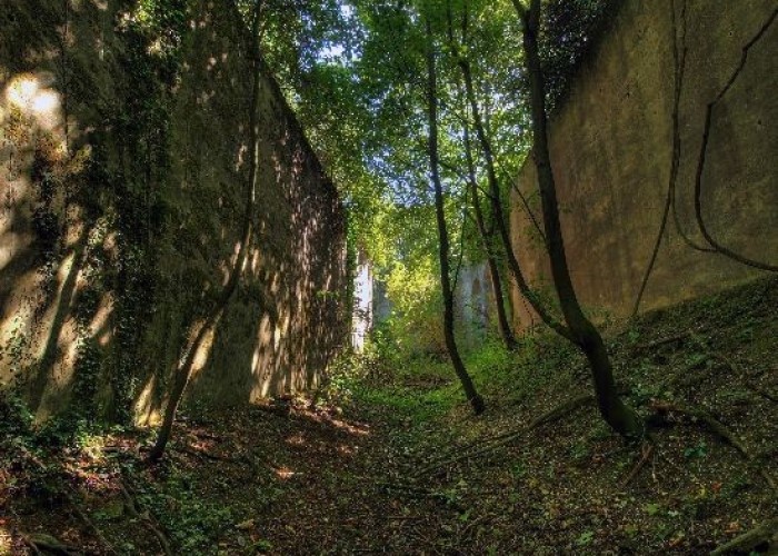 Woodland at London: Wasteland, Woodland, Stone Walls - Backdrops For Video & Stills Shoots, Kent