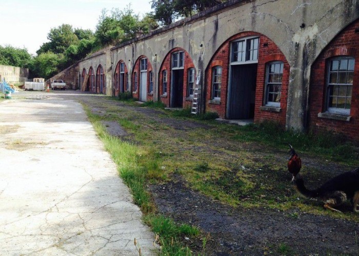 renovated - London: Wasteland, Woodland, Stone Walls - Backdrops For Video & Stills Shoots