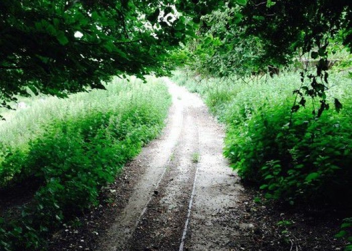 Wasteland / Scrapyard at London: Wasteland, Woodland, Stone Walls - Backdrops For Video & Stills Shoots, Kent