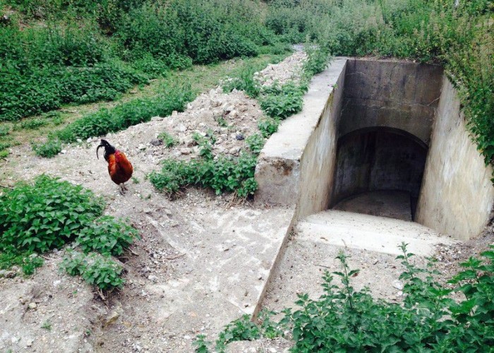 Tunnel at London: Wasteland, Woodland, Stone Walls - Backdrops For Video & Stills Shoots, Kent