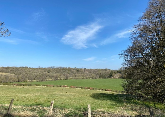 35. Countryside View