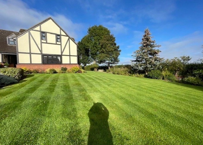 23. Garden (Rear, Large)