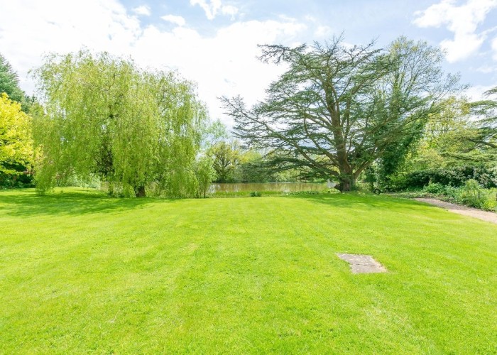 43. Garden (Rear, Large)