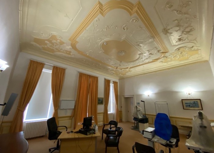 11. Office, Styled Ceiling