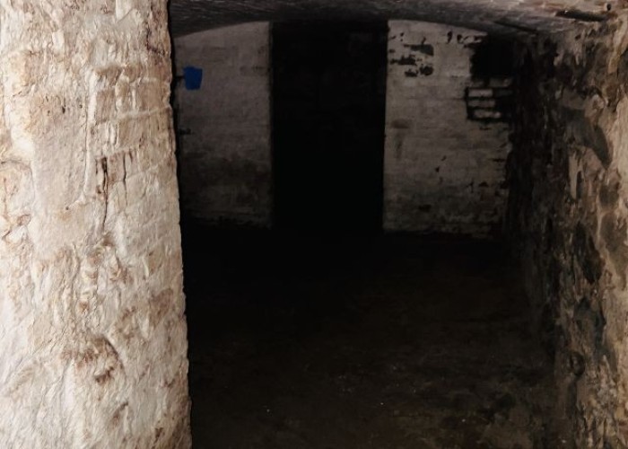 38. Cellar / Crypt / Basement